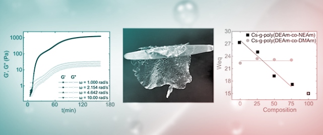 Synthesis and Characterization of Hydrogels Based on Chitosan-g-N-Alkyl-Substituted Polyacrylamide Copolymers