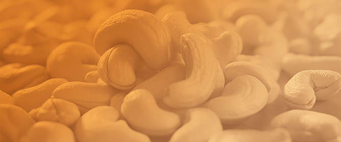 Effects of Replacing Soybean Meal with Cashew Nut Roasting Residue on Feed Intake, Nutrient Digestibility, Rumen Fermentation, Blood Metabolites, and Economic Efficiency in Lactating Goats