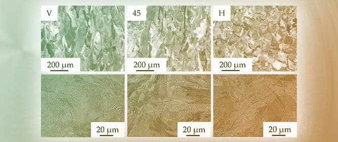 The Influence of Geometry and Orientation on the Cellular Substructure and Local Mechanical Properties of Additively Manufactured AISI 316L