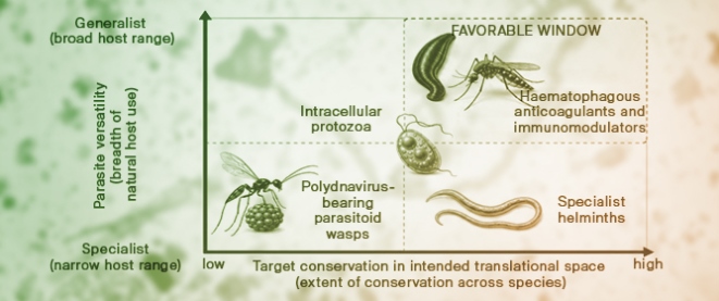 Convergence in Coevolved Systems: A Two-Axis Filter for Biomimetic Transferability
