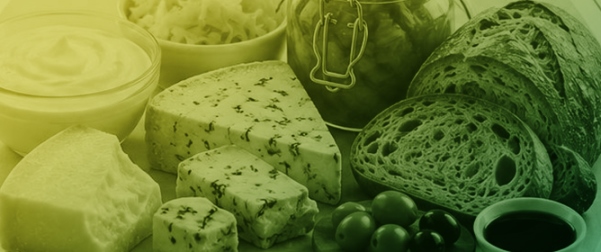 Untargeted Metabolomics in Fermented Food Systems