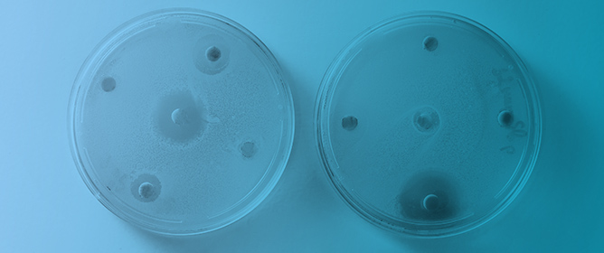 Journal of Fungi