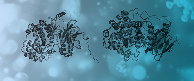 Beyond Fungitoxicity: Recent Achievements in Targeted Fungicide Discovery