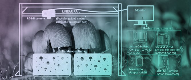 RD-GuideNet Framework for Depth-Guided Detection, Segmentation, and Tracking of White Button Mushrooms