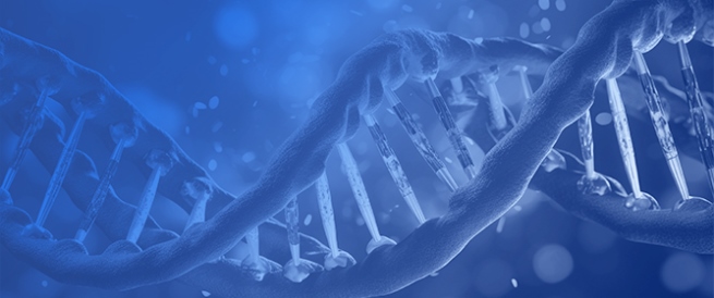 Genetic Susceptibility in Sudden Infant Death Syndrome (SIDS): A Narrative Review of Emerging Evidence