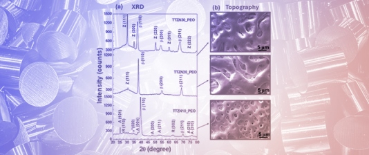 Surface Modification of Multicomponent Ti-Ta-Zr-Nb Alloys by Plasma Electrolytic Oxidation
