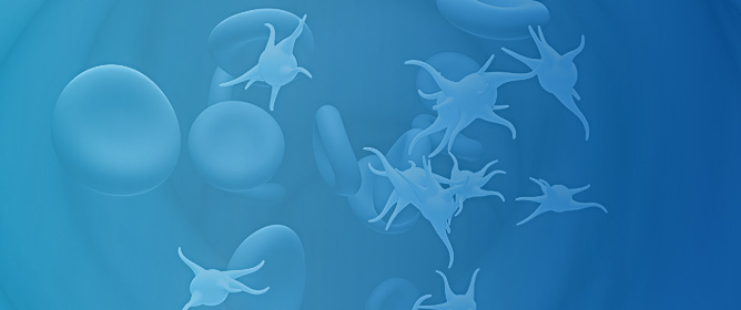 Locally Produced ELISA for Urinary Histoplasma Antigen Detection: Preliminary Clinical Evaluation