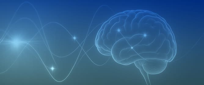 Altered Stool Cytokine Profiles and Pro-Inflammatory/Anti-Inflammatory Imbalance in Children with Autism Spectrum Disorder: A Developmental Analysis