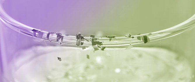 Molecular Dynamics Studies on Epitope-Resolved Structural Dynamics and Energetics of Japanese Cedar Cry j 1 Allergen Adsorption onto PET Microplastics