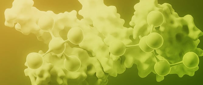 Biostimulants from Hydrolyzed Proteins: Animal Versus Vegetal Sources