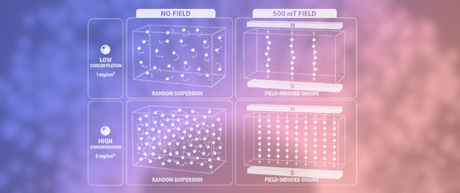 Combined Molecular Dynamics and Micromagnetic Modelling of Nanocomposite Permanent Magnet Particle Arrangement and Properties
