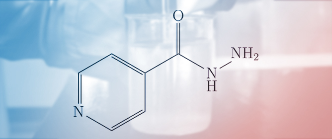 Thermodynamic Insights into Isoniazid Solubility in PEG 300 + Water Mixtures
