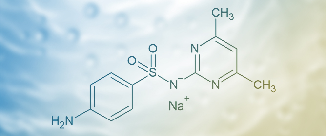 Effect of Ethanol on the Equilibrium Solubility and Apparent Specific Volume of Sodium Sulfamethazine in Aqueous Systems at Several Temperatures