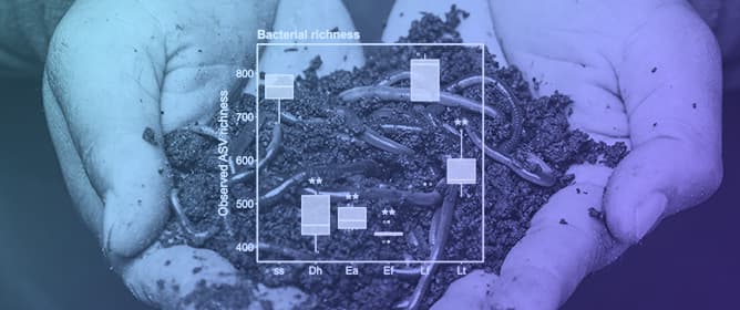 Earthworms Drastically and Differentially Modify the Bacteriomes and Mycobiomes of Sewage Sludge