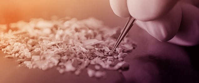 Microplastics as Vectors Influencing Oxidative Stress, Inflammation, and Endocrine Function During Early Development