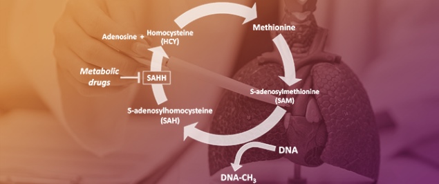 Targeted Therapy for Restoring CFTR Activity: From Experimental to Clinical Features