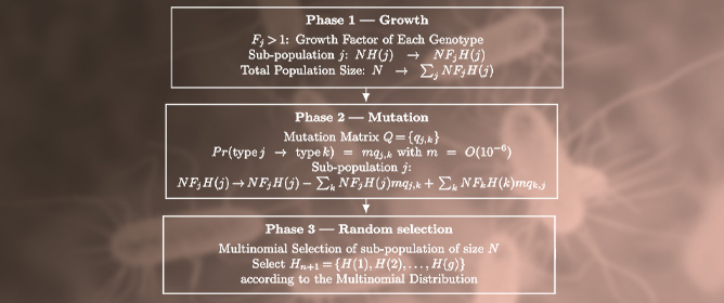 Large Deviations for Models of Bacterial Evolution