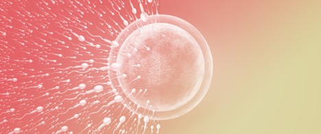 Hormonal Profiles and Y Chromosome AZF Microdeletions in Moroccan Azoospermic Men: A Molecular and Endocrine Study