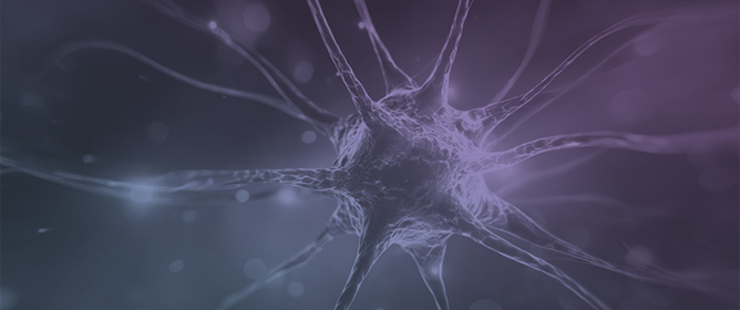 Modulation of Mu-Opioid Receptor Expression and Functional Impairment of Natural Killer Cells in Neuropathic Pain: Implications for Biomarker Discovery and Personalized Therapies