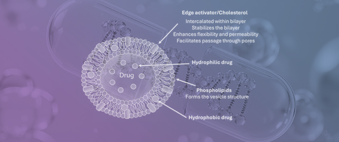 Transferosomes as Drug Delivery Systems: Design Principles, Deformability, and Translational Challenges