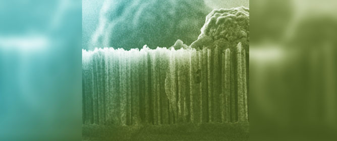 Light-Enhanced Rechargeable Si Electrode for Li-Ion Battery with a Schottky-Type Contact as Current Collector