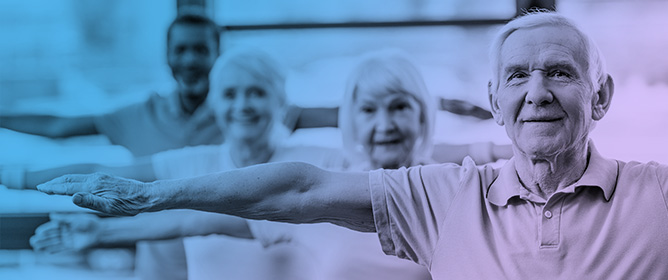 Associations of Physical Activity with Body Composition, Functional Fitness, and Isokinetic Strength in Older Adults