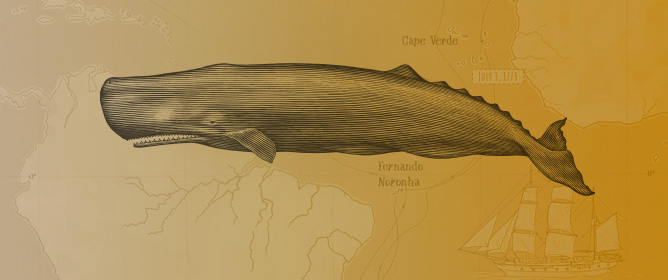 The <em>Leviathan</em> Drives the Plot: An Atlantic Whaling Voyage as a Case of Multiple Agencies in the Writing of Historical Narratives