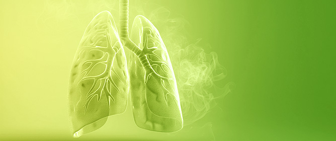 SHP-2 Expression Is a Positive Prognostic Biomarker in Non-Small-Cell Lung Carcinoma: Association with KRAS Mutation and Prolonged Survival