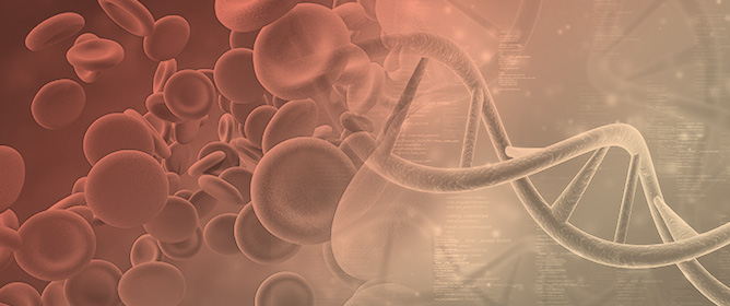 Frequency of Thalassemias in the Brazilian Population and Comparison Between Diagnostic Methods: A Systematic Review