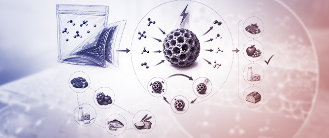 Smart Adsorption-Based Nanocatalysts for Active Food Packaging: A Critical Look at the Gap Between Concept and Application