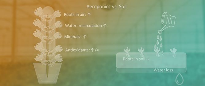 Aeroponic Growth System and Soil-Based Cultivation: Insights into Mineral Nutrients, Antioxidant Molecules andAntioxidant Activity in Edible Parts of Different Vegetables
