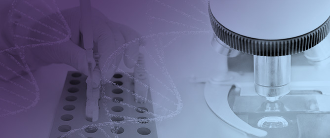 Comparative Assessment of Automated and Manual DNA Extraction Methods for the Genetic Analysis of Degraded Bone Samples