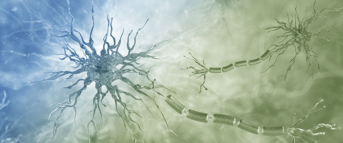 Neuroglia and Artificial Intelligence in Pediatric Neurodevelopmental Disorders: Integrating Biological Mechanisms with Precision Diagnostics