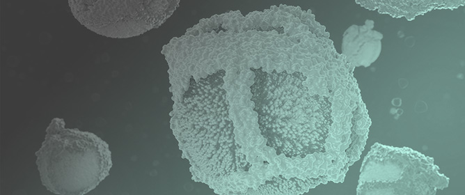 Lipoprotein(a) and LDL-C Target Achievement by Different Calculation Equations