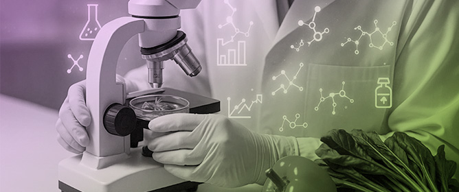 Artificial Intelligence in Foodborne Pathogen Detection from Sensing to Food Safety Systems: A Systematic Review