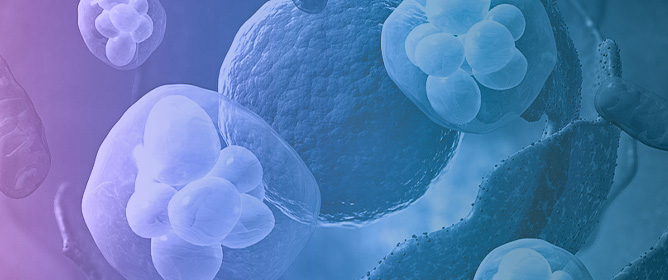 Altered Energetics of B Cells in Cancer