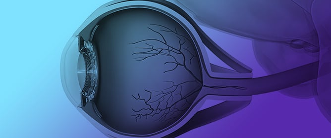 Oxidative Stress in Glaucoma: From Pathogenic Mechanisms to Emerging Antioxidant Therapies