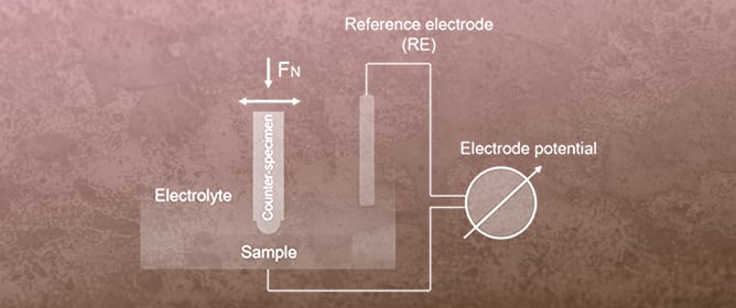 Synergistic Effects of Corrosion and Tribocorrosion in AISI 316Ti Stainless Steel