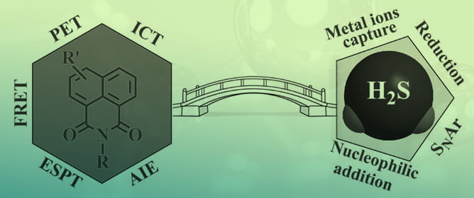 1,8-Naphthalimide: A Versatile Platform for the Design of Fluorescent Probes Targeting Hydrogen Sulfide in Biological Systems