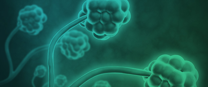 Engineering Control Readiness and Airborne Fungal Contamination in Forensic Pathology Facilities in Gauteng, South Africa: A Cross-Sectional Occupational Hygiene Study