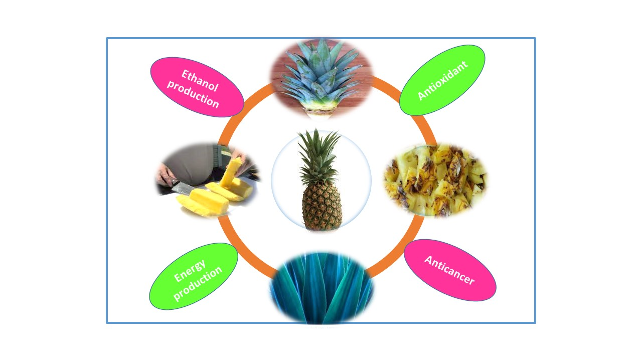 Toxics | Free Full-Text | Application of Pineapple Waste to the 