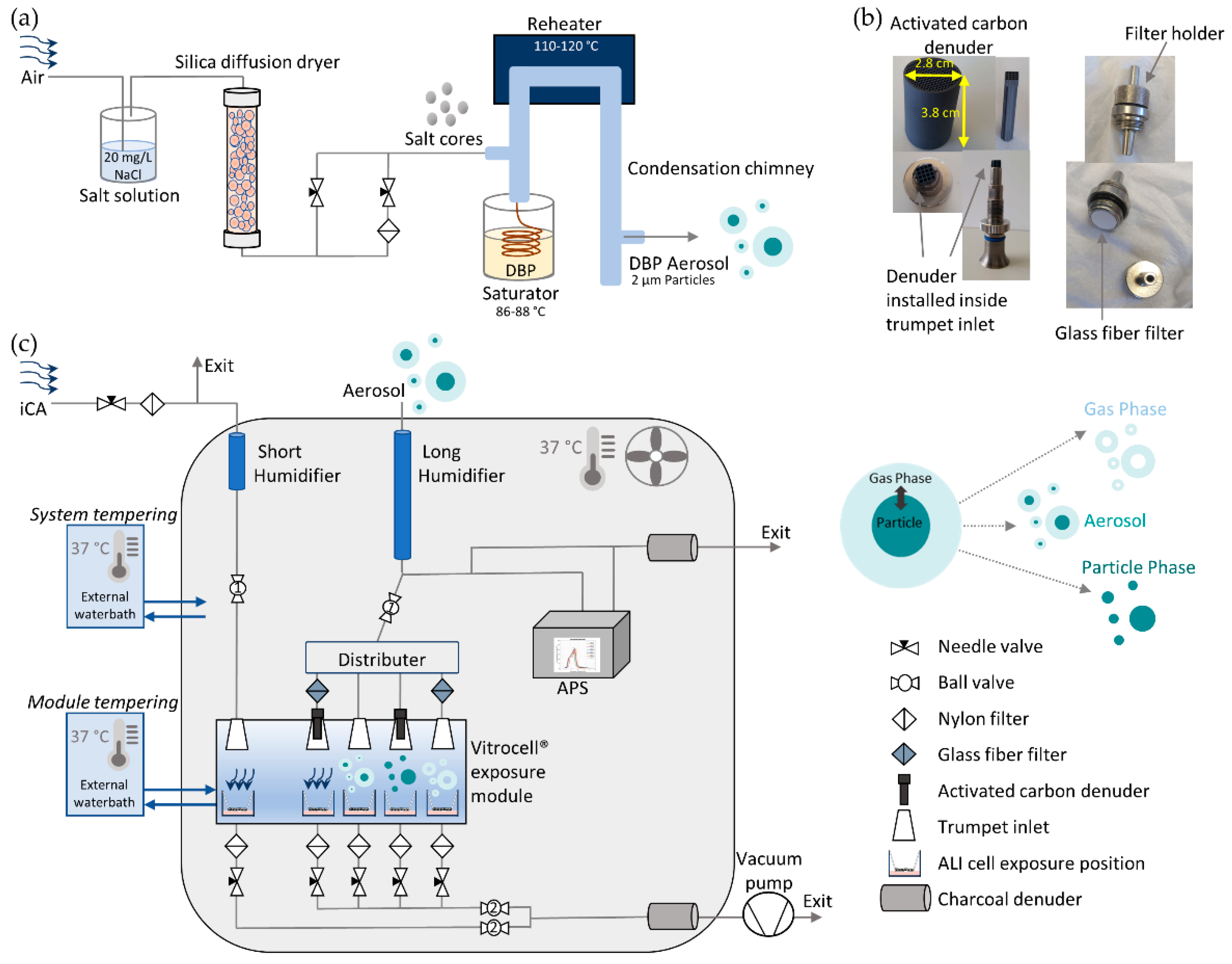 In Vitro Toxicological Investigation and Risk Assessment of E-Cigarette  Aerosols Based on a Novel Solvent-Free Extraction Method