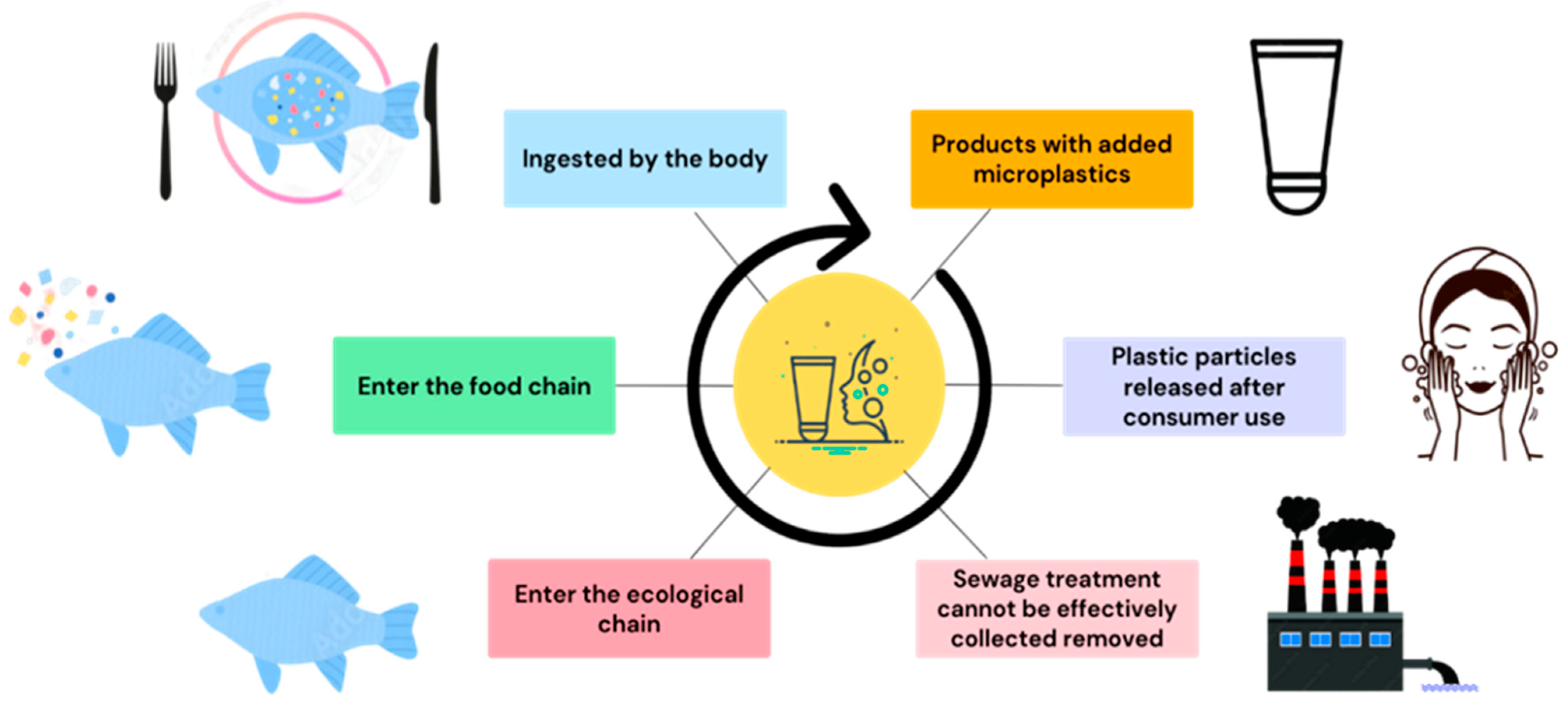 https://pub.mdpi-res.com/toxics/toxics-11-00747/article_deploy/html/images/toxics-11-00747-g001.png?1693556248