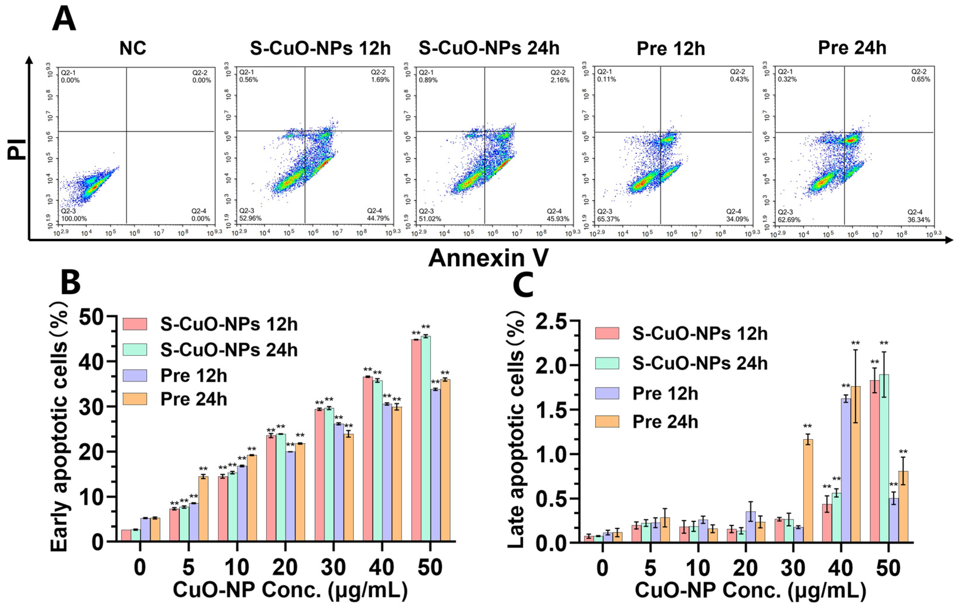 Cuo-nps Induce Apoptosis And Functional Impairment In Bv2 Cells Through 