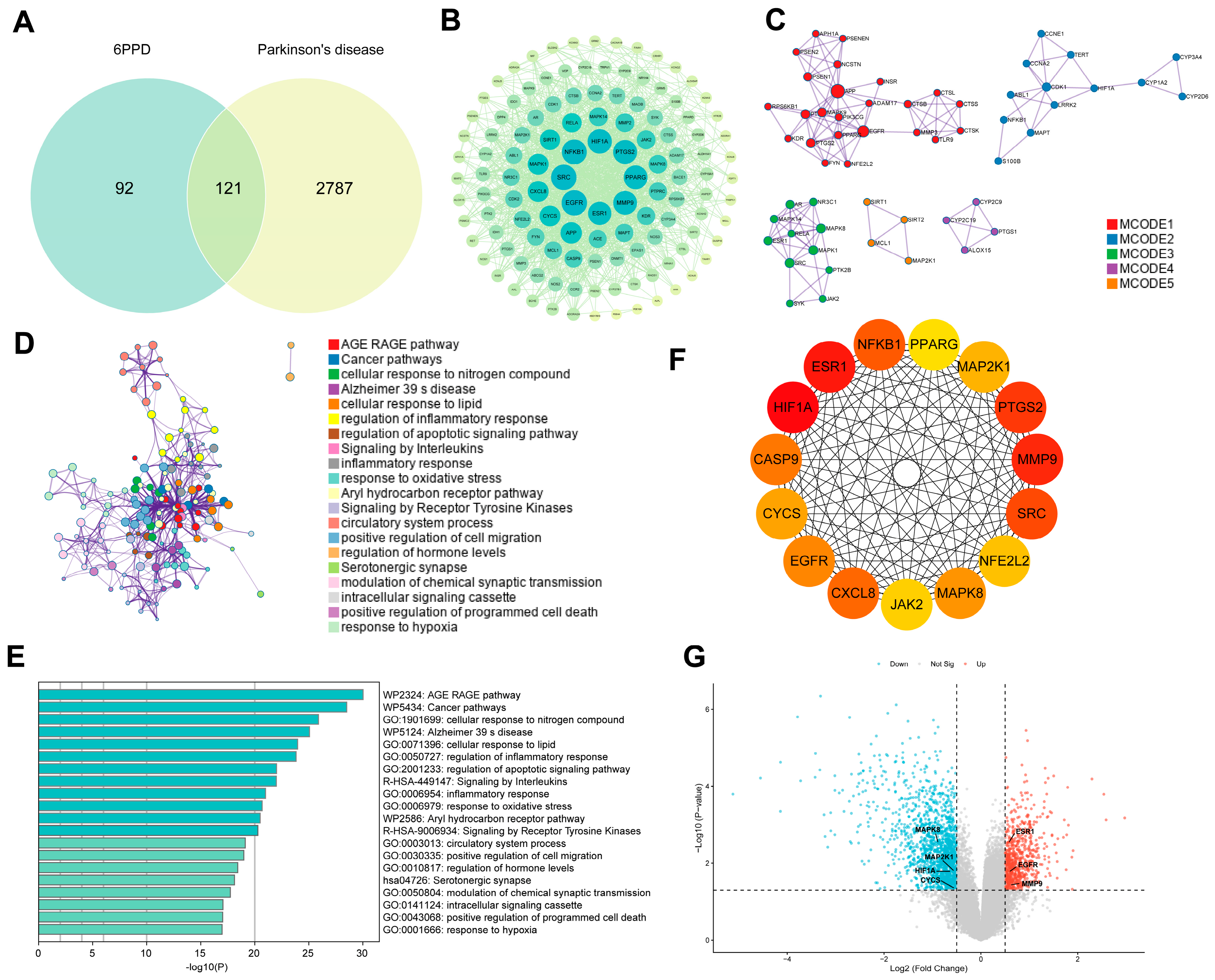 Molecular Mechanisms of 6PPD and 6PPD-Q Toxicity in Neurodegenerative ...