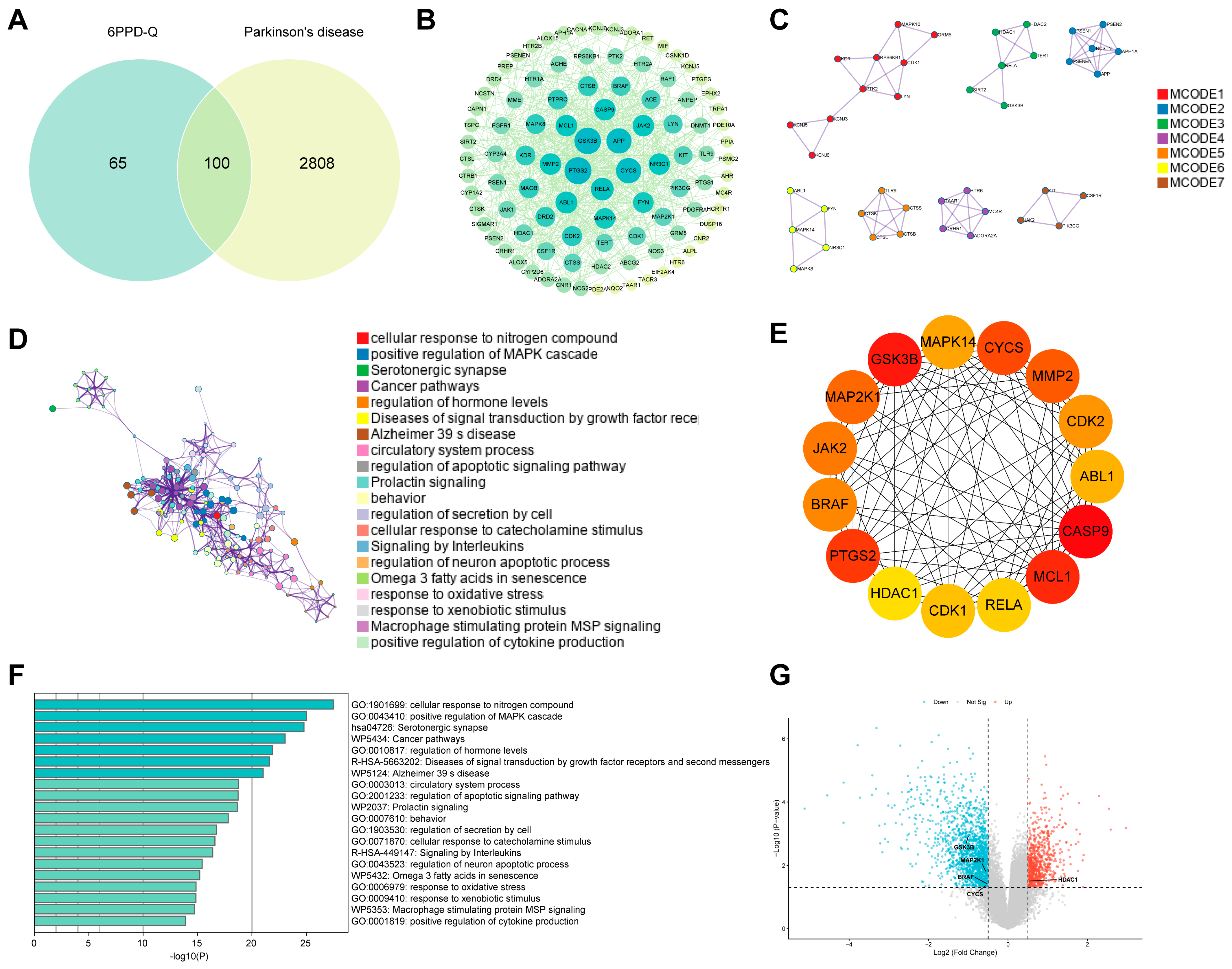 Molecular Mechanisms of 6PPD and 6PPD-Q Toxicity in Neurodegenerative ...