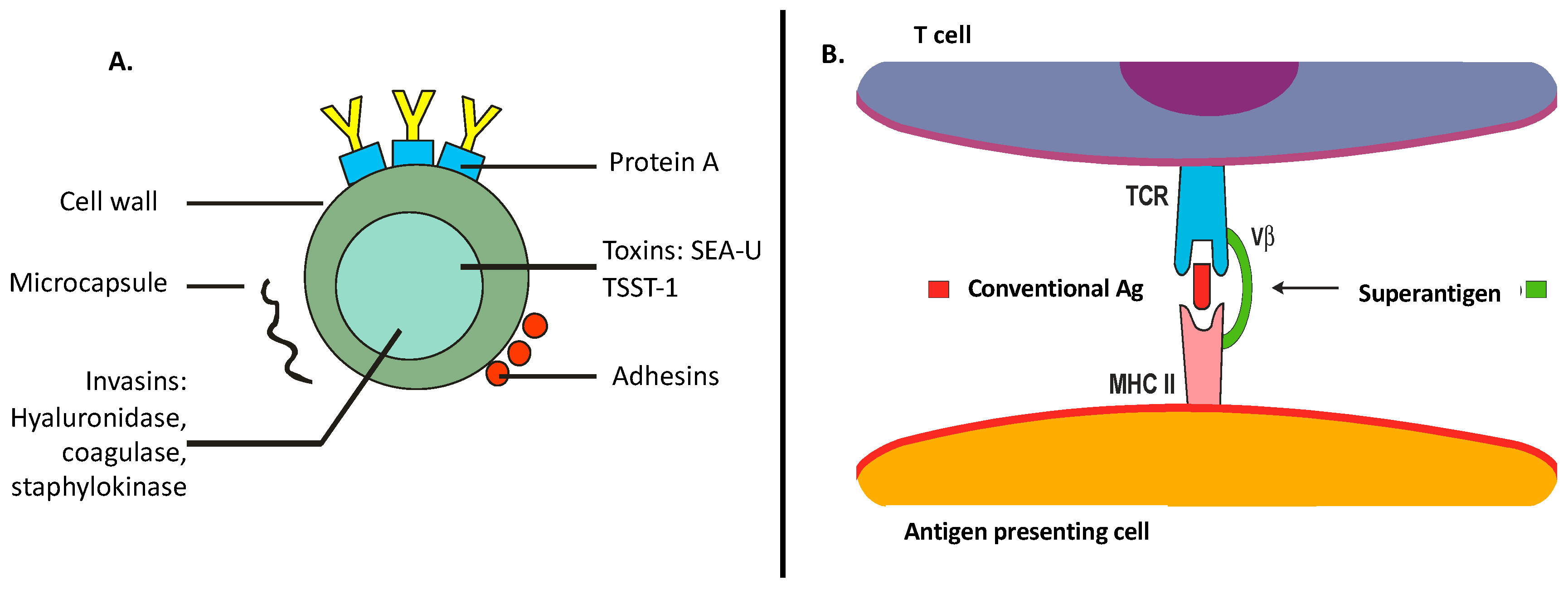 Toxins, Free Full-Text