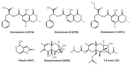 Toxins | Free Full-Text | Probing The Interactions Of Ochratoxin B ...