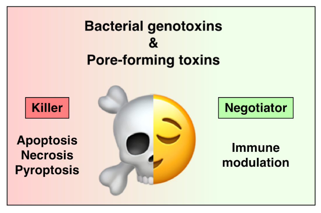 Toxins | Free Full-Text | Bacterial Toxins Are a Never-Ending 