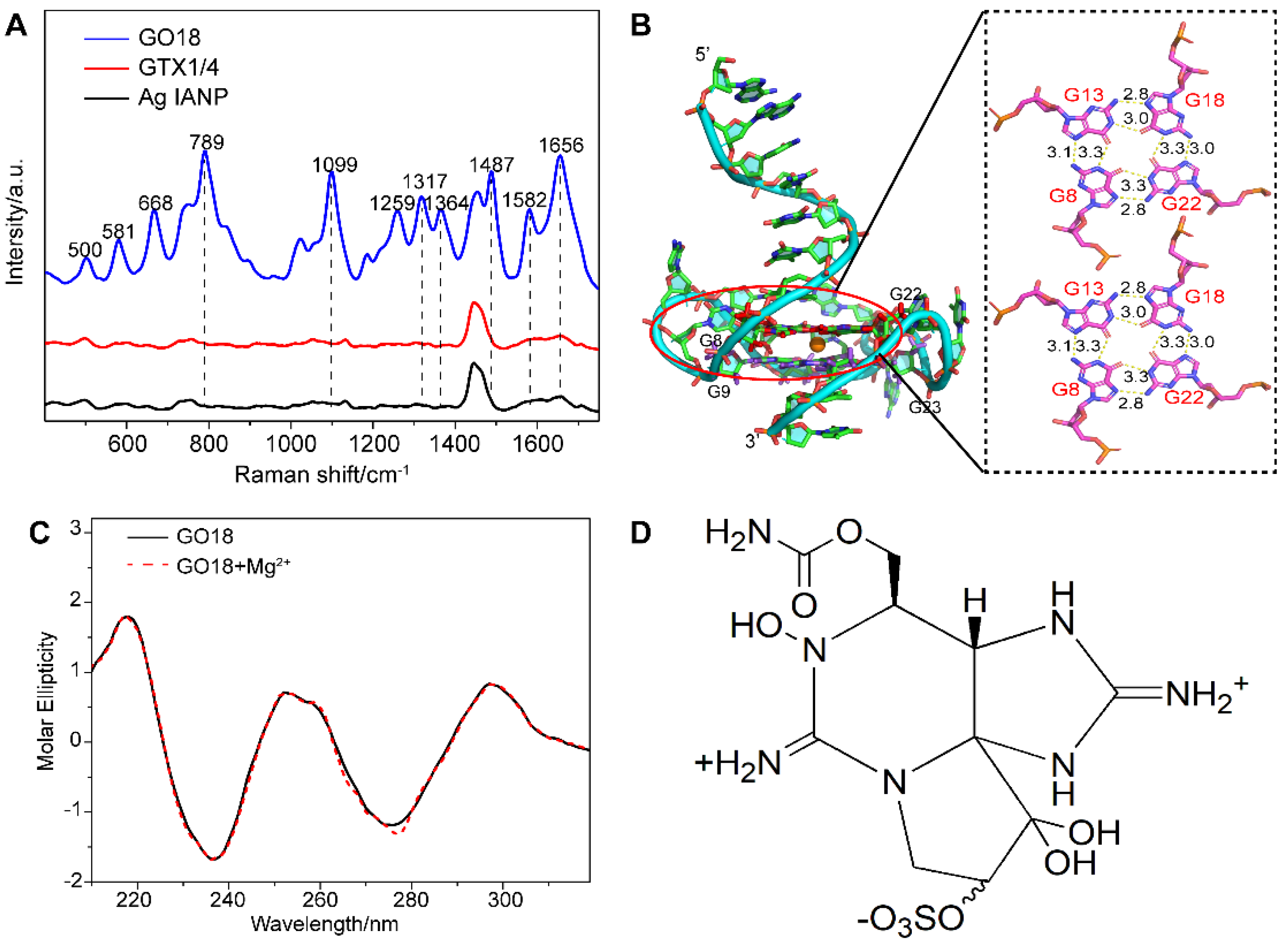 Toxins | Free Full-Text | Optimization of Gonyautoxin1/4-Binding G 